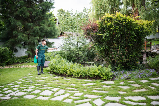 Best Pest Prevention Services  in Brillion, WI