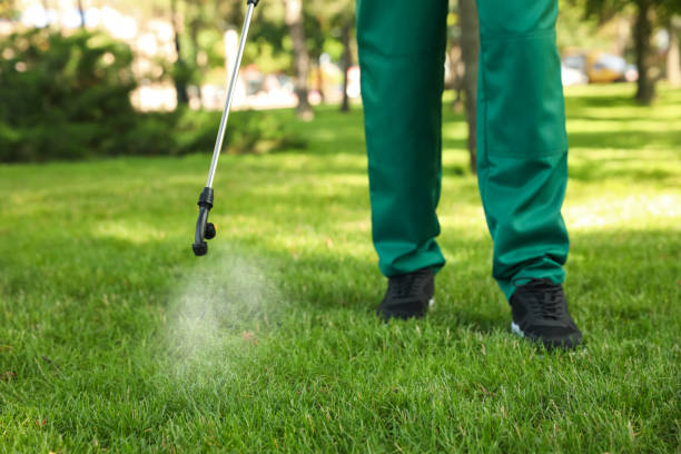 Best Ant Control Services  in Brillion, WI