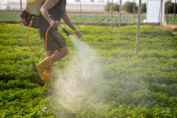 Pest Prevention Services in Brillion, WI