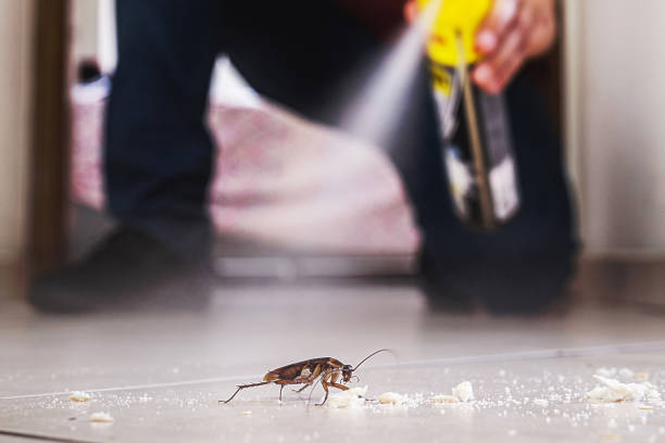 Reliable Brillion, WI Pest Control Solutions