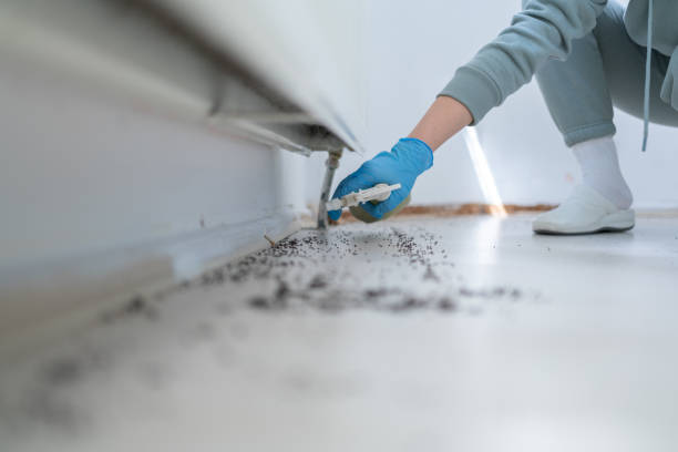 Best Exterminator Services  in Brillion, WI